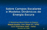 1 Sobre Campos Escalares e Modelos Dinâmicos de Energia Escura V Workshop Nova Física no Espaço Miguel Quartin, Ioav Waga (IF / UFRJ) Luca Amendola (OAR.