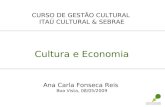 CURSO DE GESTÃO CULTURAL ITAÚ CULTURAL & SEBRAE Cultura e Economia Ana Carla Fonseca Reis Boa Vista, 08/05/2009.