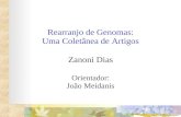 Rearranjo de Genomas: Uma Coletânea de Artigos Zanoni Dias Orientador: João Meidanis.