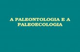 A PALEONTOLOGIA E A PALEOECOLOGIA. Ernest Haeckel (1834 – 1919) Ecologia Estuda o conjunto de relações entre os seres vivos e o meio em que vivem. estudo.