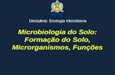 Microbiologia do Solo: Formação do Solo, Microrganismos, Funções Disciplina: Ecologia Microbiana.