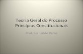 Teoria Geral do Processo Princípios Constitucionais Prof. Fernando Veras.