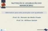NUTRIÇÃO E ADUBAÇÃO DO MAMOEIRO Alternativa para alta produção com qualidade Prof. Dr. Renato de Mello Prado Prof. Dr. William Natale.