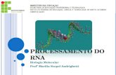 PROCESSAMENTO DO RNA Biologia Molecular Profª Marília Scopel Andrighetti.