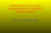 PRINCIPIOS DA ULTRA- SONOGRAFIA E LESÕES MUSCULARES Profa. JULIANA DURÃN.