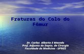 Fraturas do Colo do Fêmur Dr. Carlos Alberto S Macedo Prof. Adjunto do Depto. de Cirurgia Faculdade de Medicina - UFRGS.