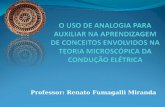 Professor: Renato Fumagalli Miranda. Mestrando: Renato Fumagalli Miranda Orientador: Prof. Dr. Gilberto Orengo de Oliveira.