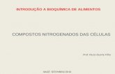 COMPOSTOS NITROGENADOS DAS CÉLULAS INTRODUÇÃO A BIOQUÍMICA DE ALIMENTOS Prof. Paulo Duarte Filho BAGÉ- SETEMBRO/2010.