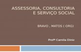 ASSESSORIA, CONSULTORIA E SERVIÇO SOCIAL BRAVO, MATOS ( ORG) Profª Camila Diniz.