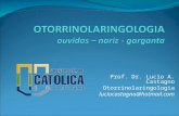 Prof. Dr. Lucio A. Castagno Otorrinolaringologia luciocastagno@hotmail.com.
