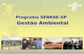 Programa SEBRAE-SP Gestão Ambiental. Objetivo Estabelecer uma rede de serviços voltada para o desenvolvimento sustentável e a melhoria contínua do desenvolvimento.