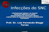 Infecções do SNC UNIVERSIDADE FEDERAL DO PARANÁ SETOR DE CIÊNCIAS DA SAÚDE DEPARTAMENTO DE PATOLOGIA MÉDICA LABORATÓRIO DE NEUROPATOLOGIA E MICROSCOPIA.