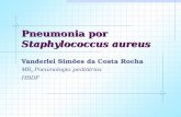 Pneumonia por Staphylococcus aureus Vanderlei Simões da Costa Rocha MR 3 Pneumologia pediátrica HBDF.