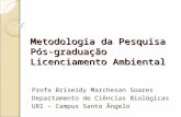 Metodologia da Pesquisa Pós-graduação Licenciamento Ambiental Profa Briseidy Marchesan Soares Departamento de Ciências Biológicas URI – Campus Santo Ângelo.