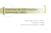 1 Sistemas de Informações Gerenciais (SIG) Juliana Grigol Fonsechi - 5147903 Chang Ming - 4915182 Vanessa Herculano de Oliveira - 5146840.