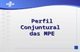 Perfil Conjuntural das MPE Perfil Conjuntural das MPE.