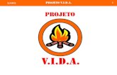1 31/12/2013. 2 Projeto V.I.D.A. Uma iniciativa: Com apoio:Equipe do Projeto V.I.DA CEGP-TI 4.