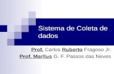 Sistema de Coleta de dados Prof. Carlos Ruberto Fragoso Jr. Prof. Marllus G. F. Passos das Neves.