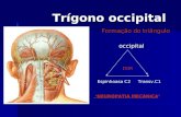 Trígono occipital Trígono occipital Formação do triângulo Formação do triângulo occipital occipital DOR Transv.C1Espinhoasa C2 NEUROPATIA MECÂNICA.