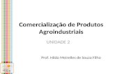 Comercialização de Produtos Agroindustriais Prof. Hildo Meirelles de Souza Filho UNIDADE 2.