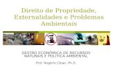 Direito de Propriedade, Externalidades e Problemas Ambientais GESTÃO ECONÔMICA DE RECURSOS NATURAIS E POLÍTICA AMBIENTAL Prof. Rogério César, Ph.D.