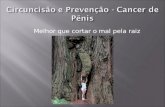 Melhor que cortar o mal pela raiz No Brasil, anualmente, 1000 homens perdem seu órgão sexual por causa do câncer de pênis. O câncer de pênis é causado.