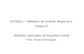 ECN/911 – Métodos de Análise Regional e Urbana II Modelos Aplicados de Equilíbrio Geral Prof. Edson Domingues.