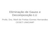 Eliminação de Gauss e Decomposição LU Profa. Dra. Marli de Freitas Gomes Hernandez CESET-UNICAMP.