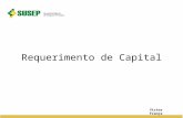 Requerimento de Capital Victor França. Agenda Evolução da Regulamentação Divulgação de Material de Apoio (site) Resolução CNSP nº 282/2013 – CMR Resolução.