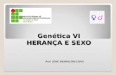 Genética VI HERANÇA E SEXO Prof. JOSE AMARAL/2012-2013.