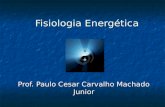 Fisiologia Energética Prof. Paulo Cesar Carvalho Machado Junior.