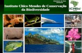 Ministério do Meio Ambiente Instituto Chico Mendes de Conservação da Biodiversidade.