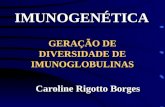 GERAÇÃO DE DIVERSIDADE DE IMUNOGLOBULINAS Caroline Rigotto Borges IMUNOGENÉTICA.