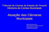 Diretoria de Contas Municipais Atuação das Câmaras Municipais Tribunal de Contas do Estado do Paraná MARIO ANTONIO CECATO PAULO ROBERTO MARQUES FERNANDES.