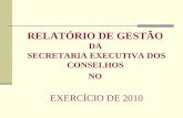 RELATÓRIO DE GESTÃO DA SECRETARIA EXECUTIVA DOS CONSELHOS NO EXERCÍCIO DE 2010.