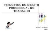 1 PRINCÍPIOS DO DIREITO PROCESSUAL DO TRABALHO Nívea Cordeiro 2009.