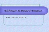 Elaboração de Projeto de Pesquisa Prof. Sandra Sanchez.