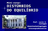 Mini-curso:DISTÚRBIOS DO EQUILÍBRIO Prof. Lucio A. Castagno Otorrinolaringologia luciocastagno@hotmail.com.