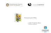 Estrutura do DNA Joab Trajano Silva Professor Adjunto.