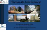 Fratura do Colo Femoral Dr. Jurandir Antunes Filho Hospital Monte Sinai Sta. Casa de Misericórdia de Juiz de Fora HU/CAS-UFJF.