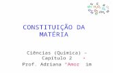 CONSTITUIÇÃO DA MATÉRIA Ciências (Química) – Capítulo 2 Prof. Adriana Amor im.