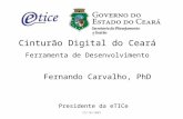 29/10/2008 Cinturão Digital do Ceará Ferramenta de Desenvolvimento Fernando Carvalho, PhD Presidente da eTICe.