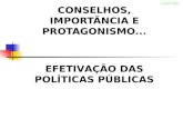 CONSELHOS, IMPORTÂNCIA E PROTAGONISMO... CEAS-MG EFETIVAÇÃO DAS POLÍTICAS PÚBLICAS.