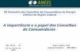 III Seminário dos Conselhos de Consumidores de Energia Elétrica da Região Sudeste A importância e o papel dos Conselhos de Consumidores São Paulo - SP.