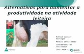 1 Alternativas para aumentar a produtividade na atividade leiteira Rafael Verner Heringer Médico Veterinário Coordenador de território (99) 9138-1132.