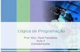 Lógica de Programação Prof. Msc. Raul Paradeda Aula 4 Entrada/Saída.