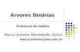 Árvores Binárias Marco Antonio Montebello Júnior marco.antonio@aes.edu.br Estrutura de Dados.