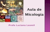 Profa Luciana Leomil. Introdução Os fungos são um grupo de organismos eucariotas não-móveis com parede celular definida, sem clorofila, que se reproduzem.