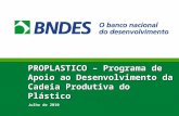 1 PROPLASTICO – Programa de Apoio ao Desenvolvimento da Cadeia Produtiva do Plástico Julho de 2010.