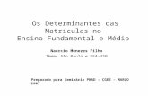 Os Determinantes das Matrículas no Ensino Fundamental e Médio Naércio Menezes Filho Ibmec São Paulo e FEA-USP Preparado para Seminário PNAD – CGEE – MARÇO.